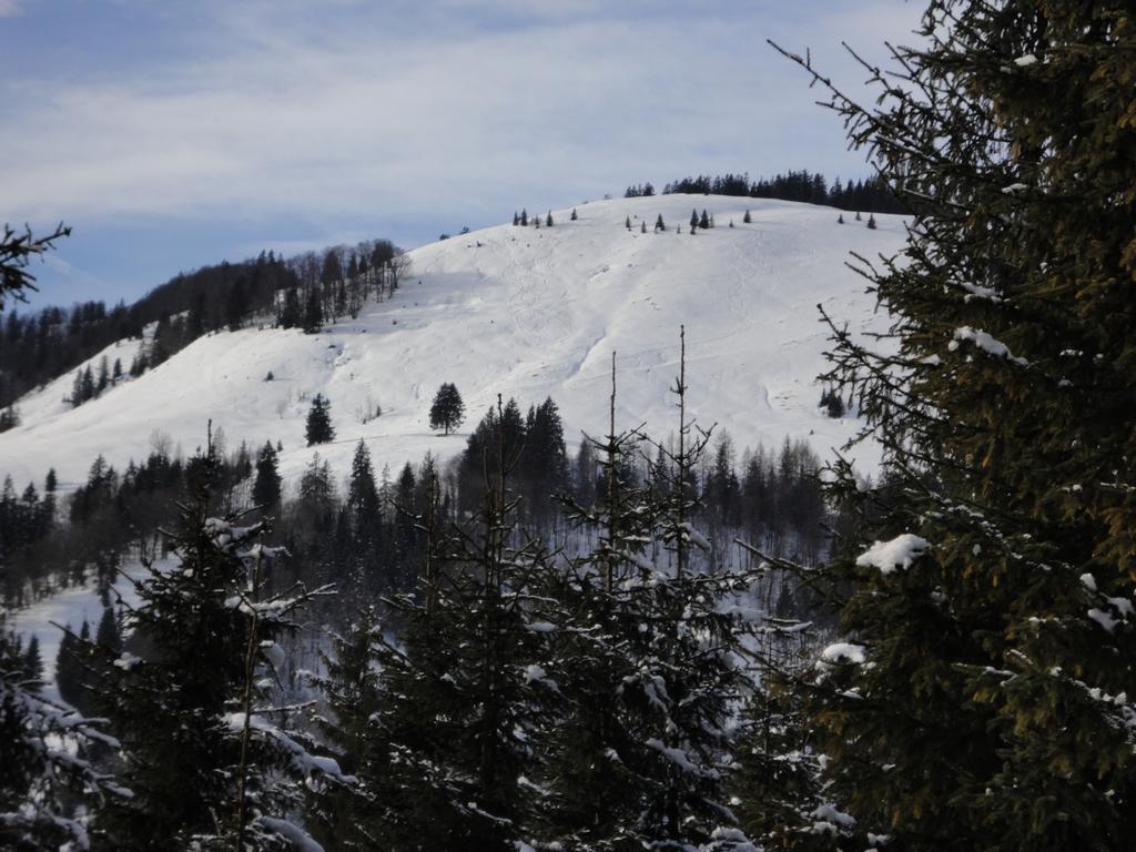 Ferienwohnungen Vordergriess Hochfilzen Exterior foto